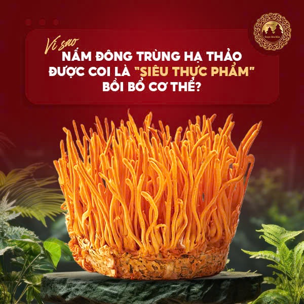 Đông trùng hạ thảo là siêu thực phẩm bồi bổ cơ thể?