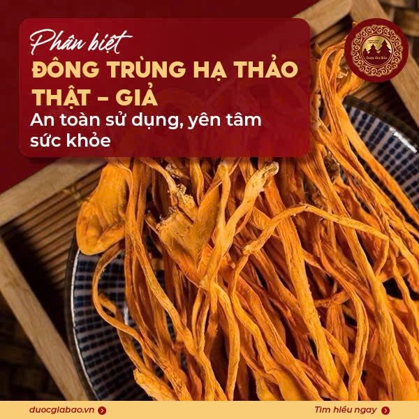 Phân biệt đông trùng hạ thảo thật giả an toàn sử dụng