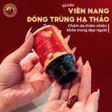 Sở hữu viên nang đông trùng hạ thảo - chăm da khỏe đẹp