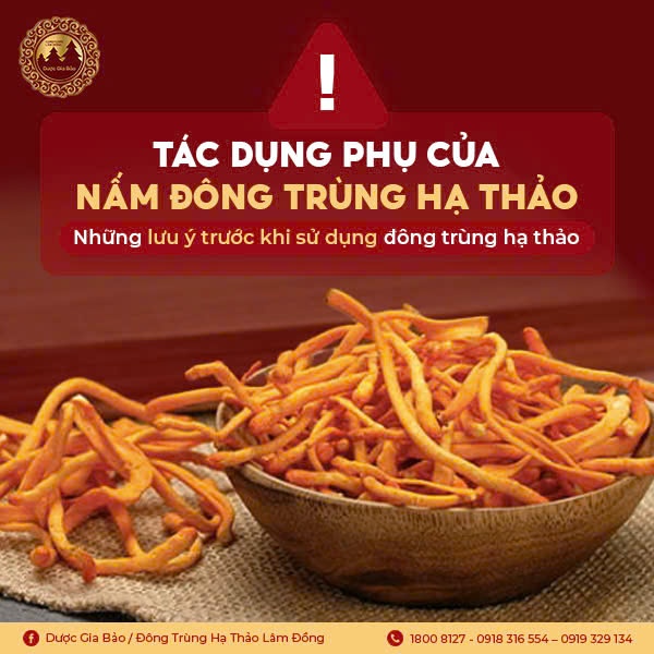 Tác dụng phụ của nấm đông trùng hạ thảo - Những lưu ý trước khi dùng