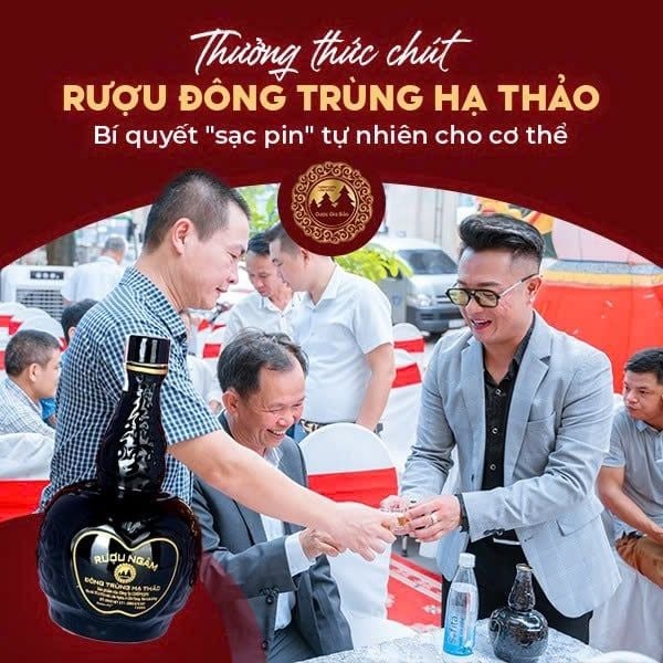 Thưởng thức rượu đông trùng hạ thảo bí quyết sạc pin cho cơ thể