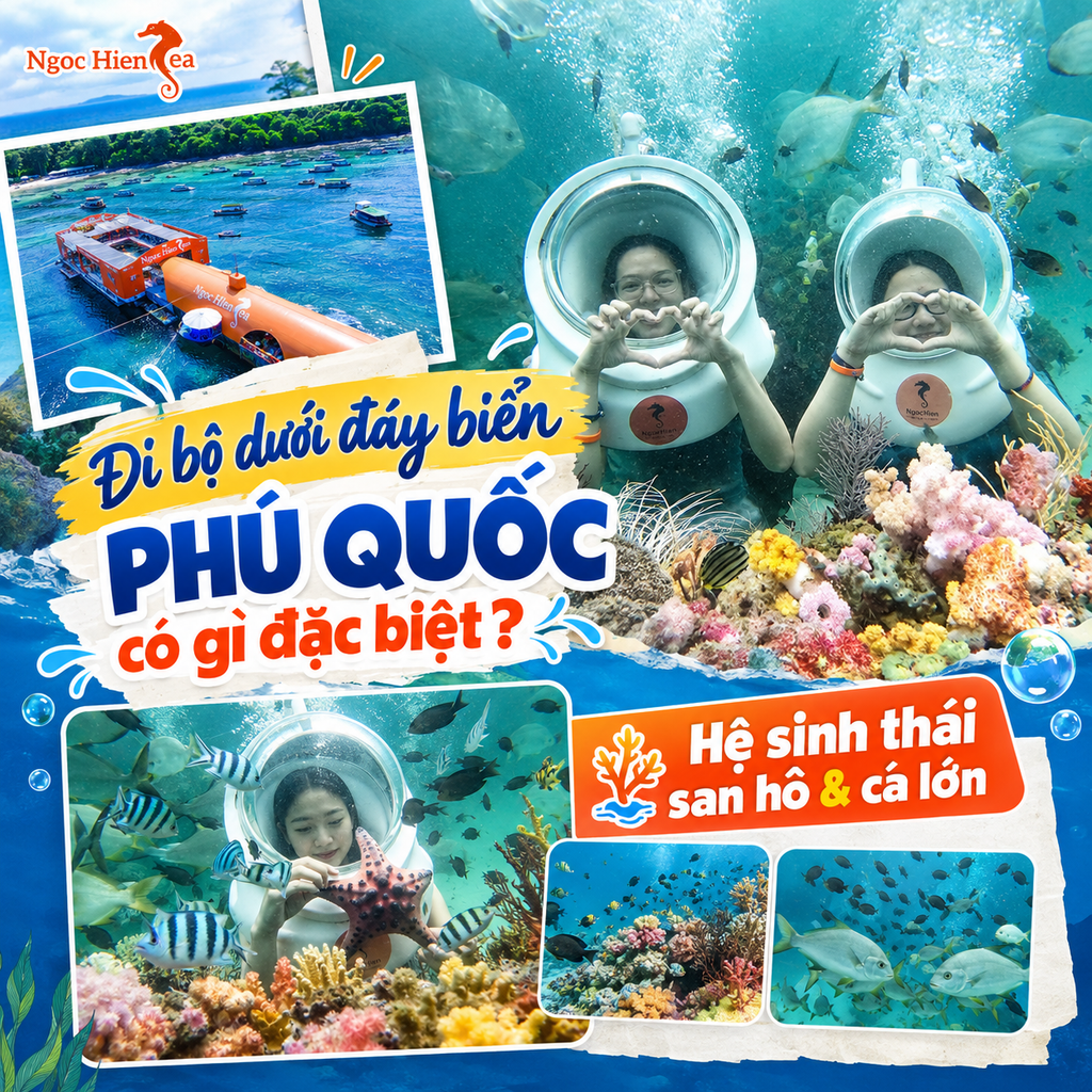 Đi bộ dưới đáy biển Phú Quốc có gì đặc biệt?