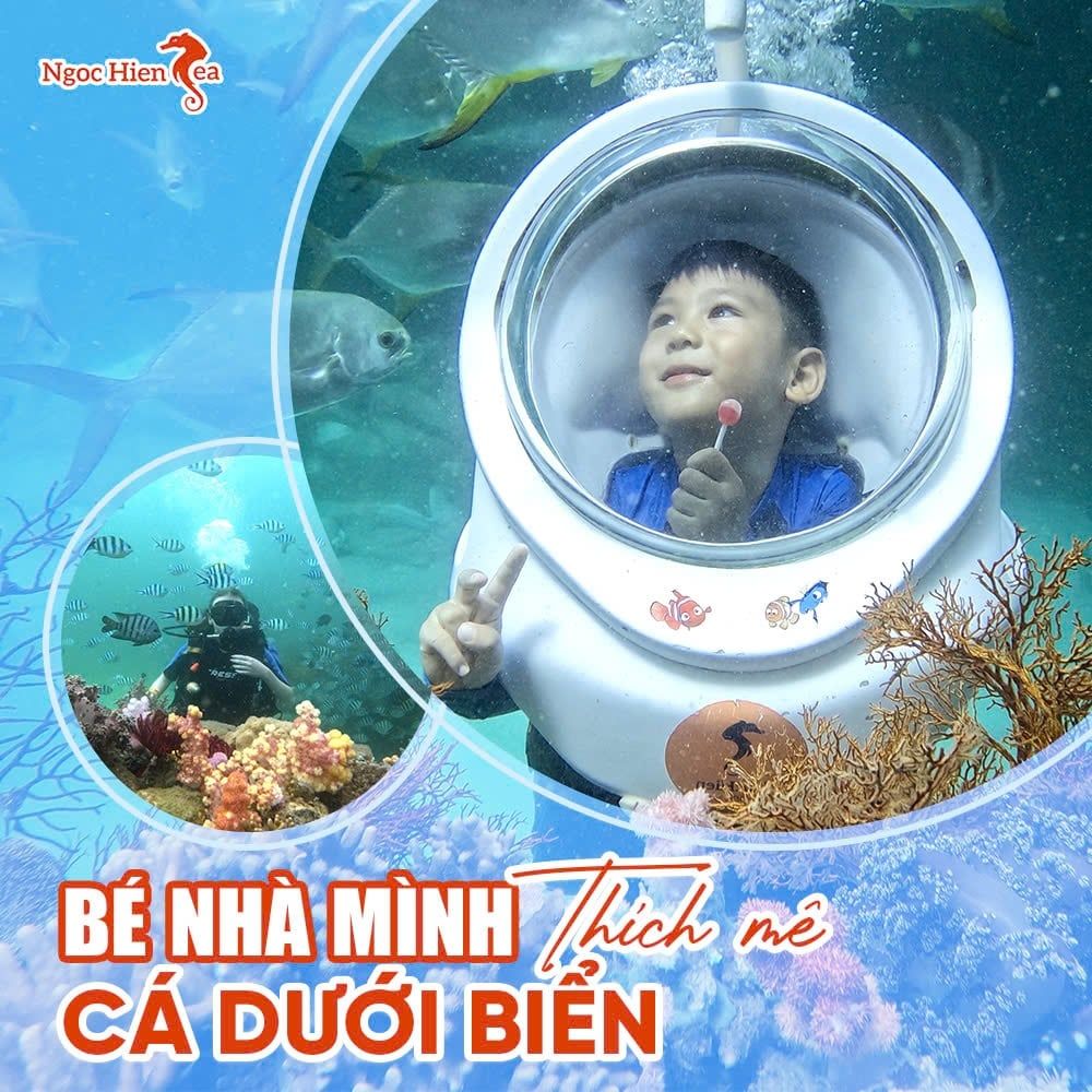 Trải Nghiệm Đi Bộ Dưới Đáy Biển: Bí Quyết Để Có Chuyến Đi Hoàn Hảo Từ A Đến Z