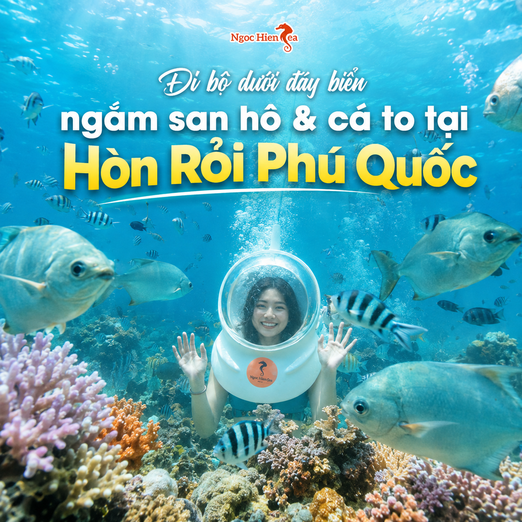 Đi bộ dưới đáy biển ngắm san hô & cá to tại Hòn Rỏi Phú Quốc