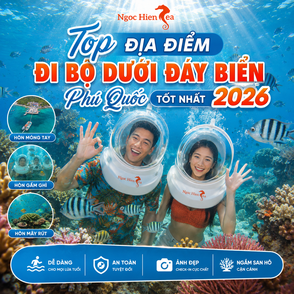 Top Địa Điểm Đi Bộ Dưới Đáy Biển Phú Quốc Tốt Nhất 2026