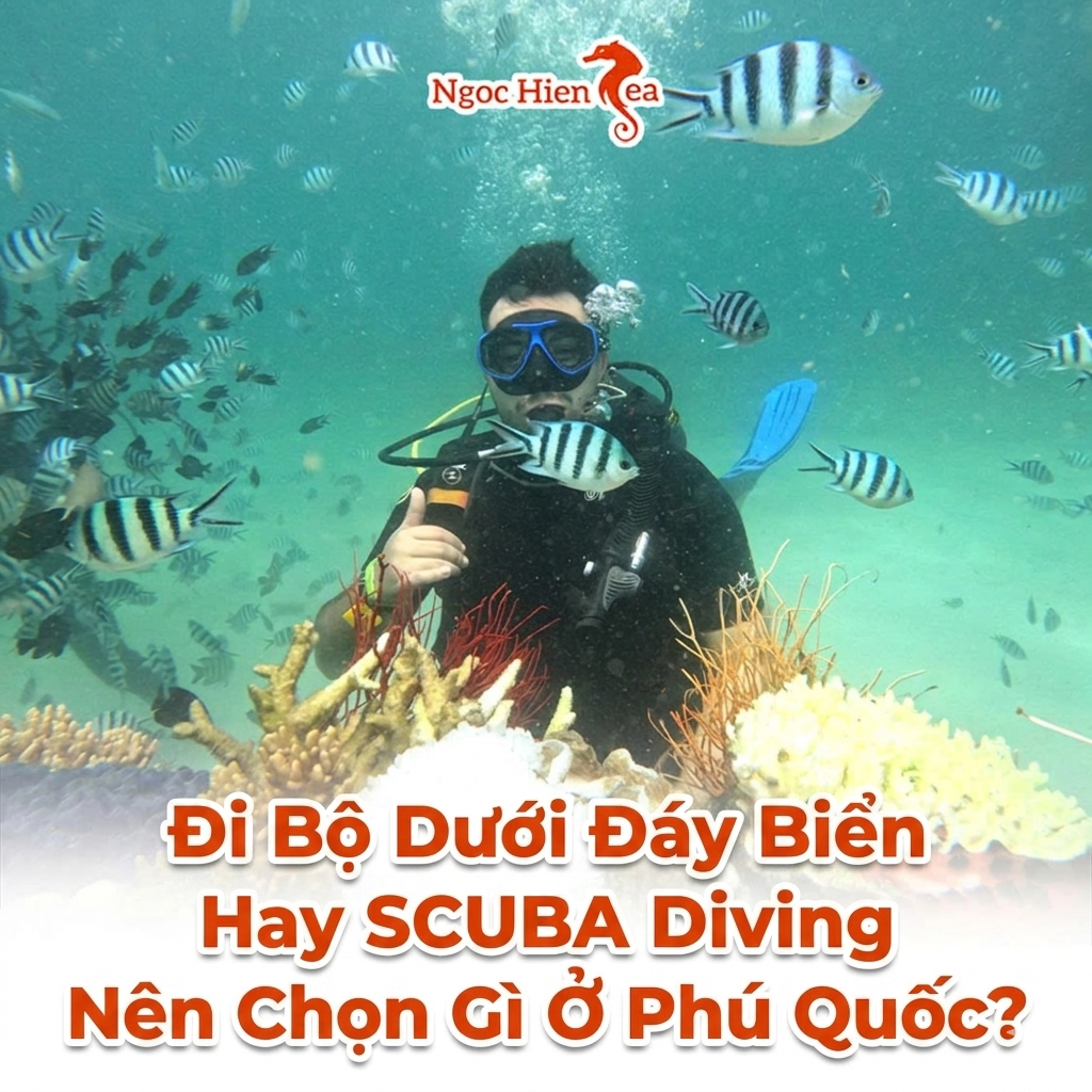 Đi Bộ Dưới Đáy Biển Hay SCUBA Diving Nên Chọn Gì Ở Phú Quốc?