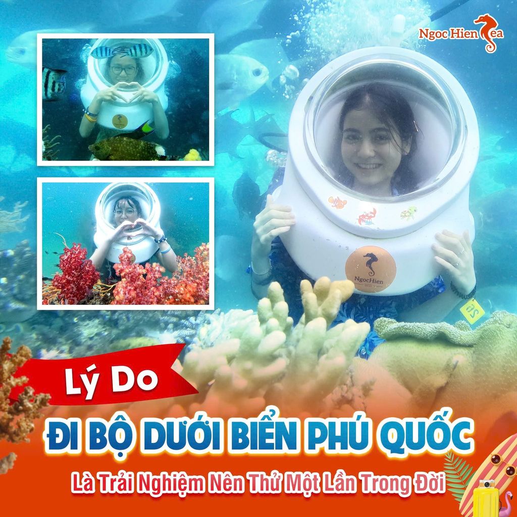 Đi Bộ Dưới Đáy Biển Phú Quốc 2026 Trải Nghiệm 5 Sao Tại Ngoc Hien Sea