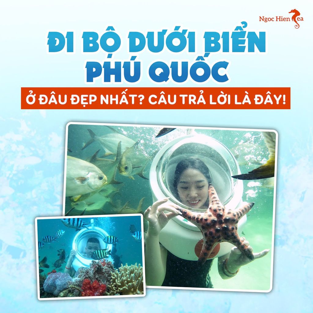 Tour Đi Bộ Dưới Biển Đảo Ngọc Cánh Cửa Bước Vào Thế Giới Đại Dương Huyền Bí