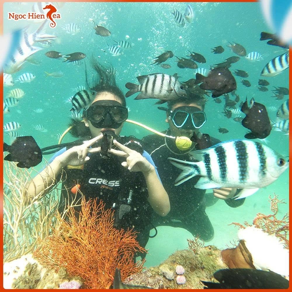 Đi Bộ Dưới Đáy Biển Phú Quốc: Khám Phá Cá Nhiệt Đới Độc Đáo