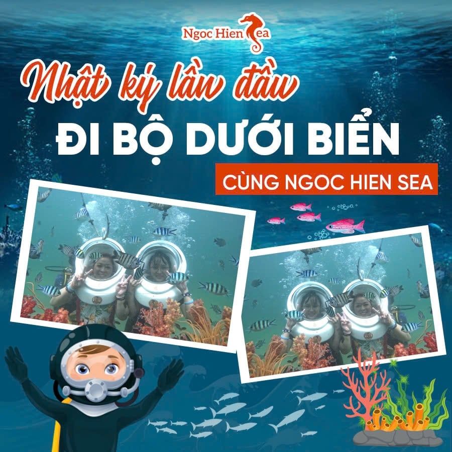 Đi Bộ Dưới Biển Cho Người Không Biết Bơi: Tận Hưởng Không Cần Kỹ Năng