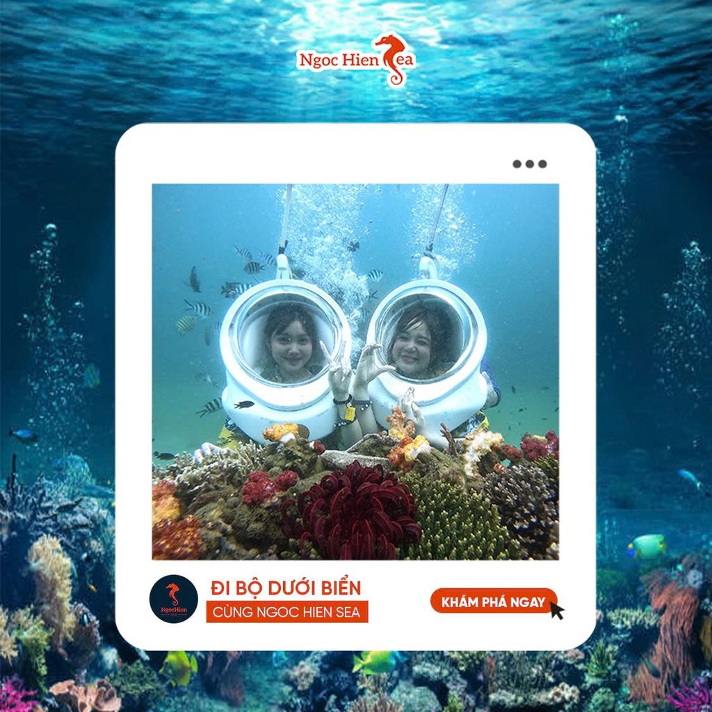 Cập Nhật Giá Vé Đi Bộ Dưới Đáy Biển Phú Quốc Mùa Cao Điểm