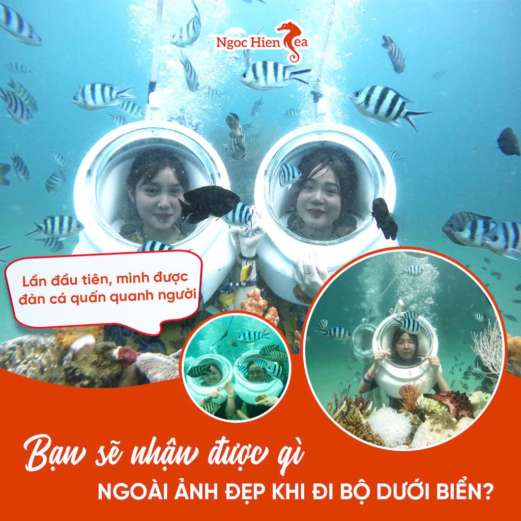 7 Điều Cần Chuẩn Bị Cho Trải Nghiệm Đi Bộ Dưới Đáy Biển