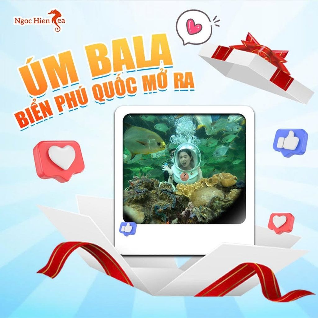 Kinh Nghiệm Đi Bộ Dưới Đáy Biển Phú Quốc Lần Đầu: Lưu Ý Và Mẹo Hay