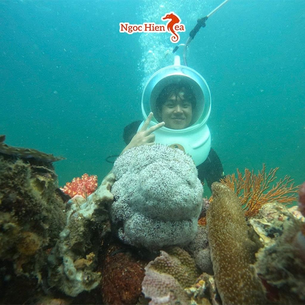 Đi Bộ Dưới Đáy Biển Ngắm San Hô: Khám Phá Thế Giới Dưới Đáy Biển Phú Quốc