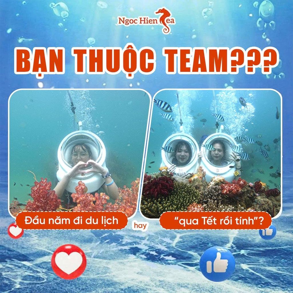 Đi Bộ Dưới Đáy Biển Phú Quốc: Hành Trình Khám Phá Đại Dương Tại Ngoc Hien Sea