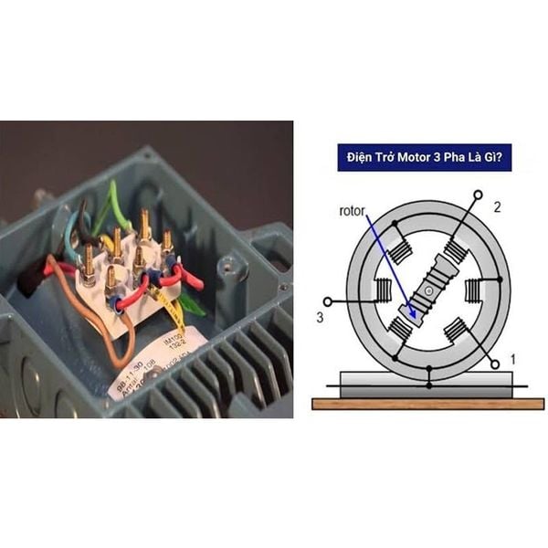 Cách đo điện trở cuộn dây motor bằng Ampe kìm trên động cơ 3 pha