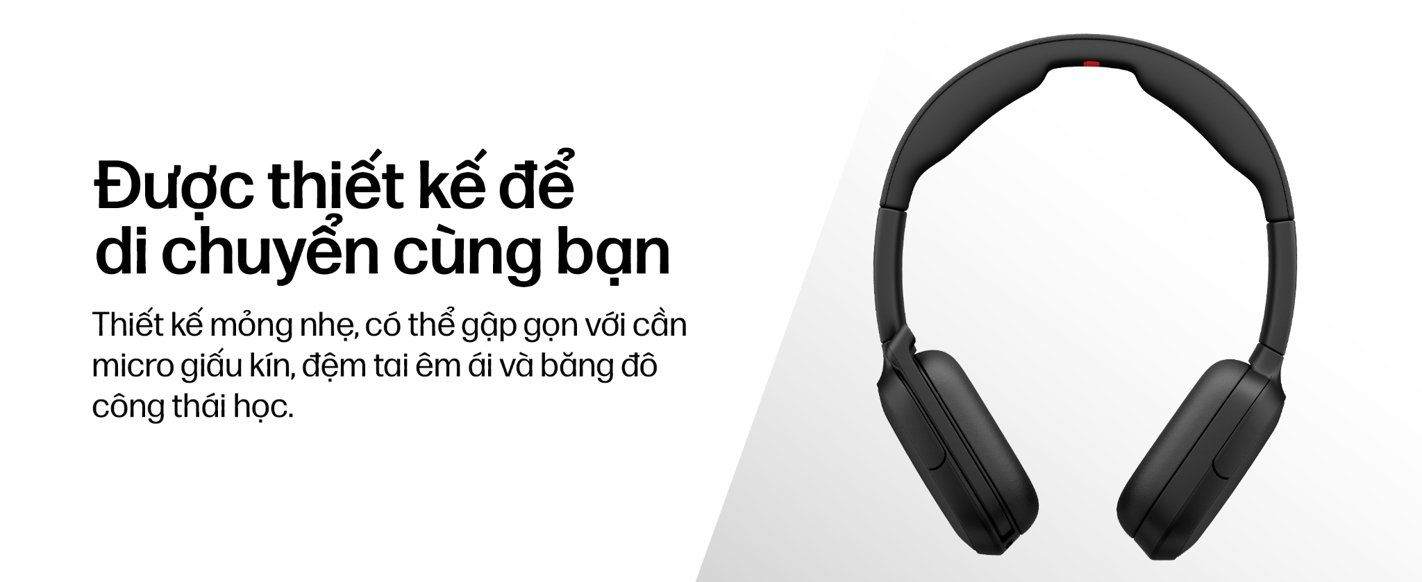 Tai nghe ANC Bluetooth cao cấp HP Poly Focus 625