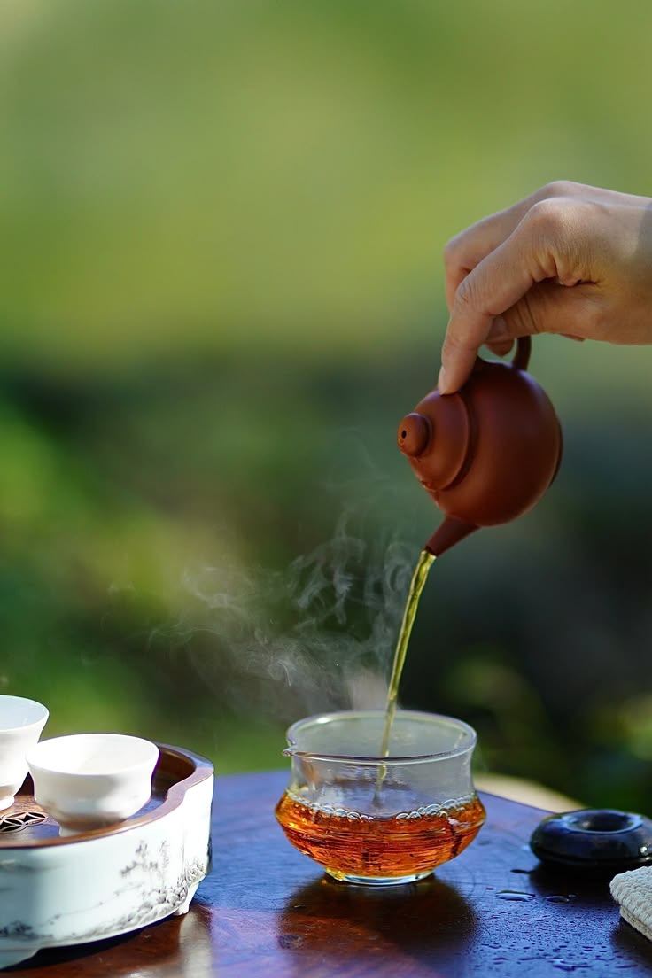 Trà Nóng Mùa Thu 5 Loại Trà Shan Tuyết Uống Buổi Sáng Tuyệt Nhất