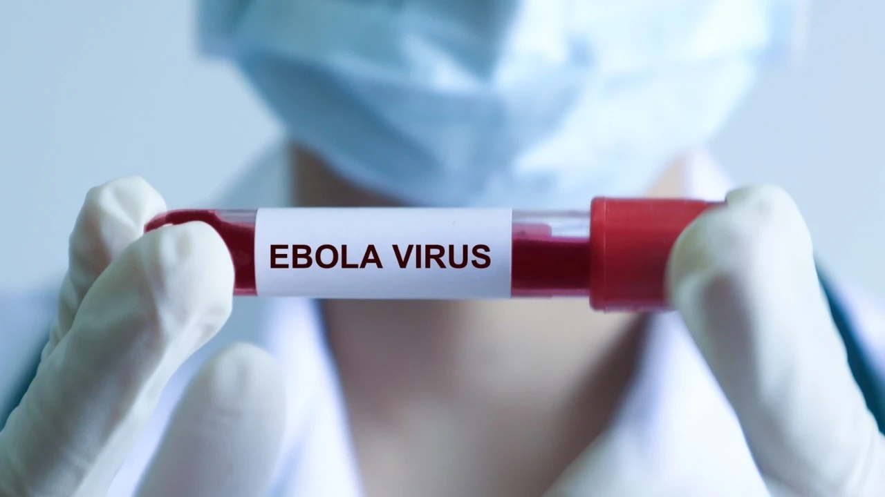 WHO cảnh báo khẩn cấp dịch Ebola, Bộ Y tế ra thông báo mới