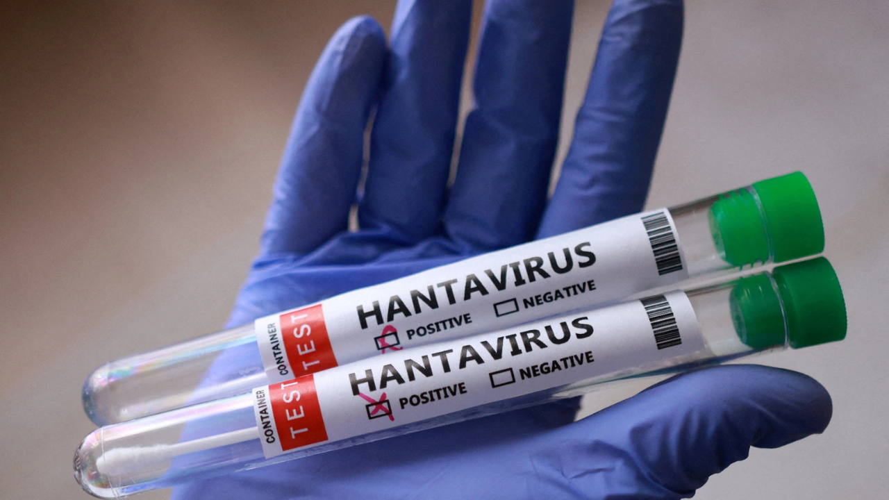 Cụm ca bệnh Hanta virus liên quan đến du lịch bằng tàu du lịch, đa quốc gia
