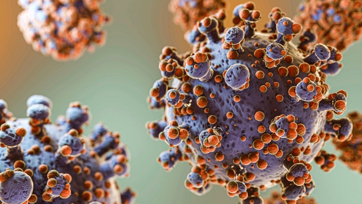 Virus Hanta khiến 3 người không qua khỏi, Bộ Y tế cảnh báo khẩn
