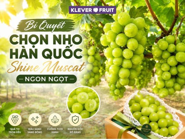 Bí Quyết Chọn Nho Hàn Quốc Shine Muscat Ngon Ngọt
