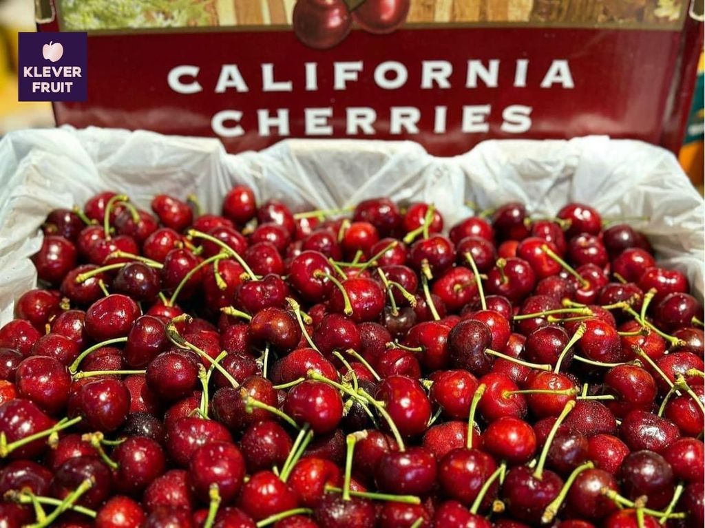 Chào đón mùa Cherry Mỹ 2026 - Viên kim cương đỏ của mùa hè