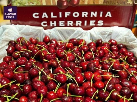 Chào đón mùa Cherry Mỹ 2026 - Viên kim cương đỏ của mùa hè