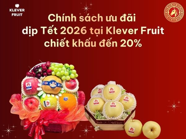 Chính Sách Ưu Đãi Khách Hàng Dịp Tết 2026 Tại Klever Fruit – Quà Tết Chiết Khấu Cao, An Tâm Trọn Vẹn