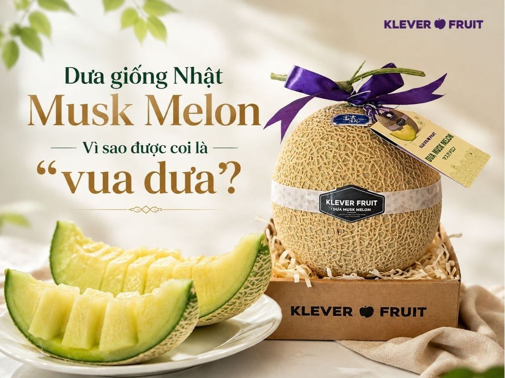 Dưa Giống Nhật Musk Melon: Vì sao được coi là “vua dưa”?