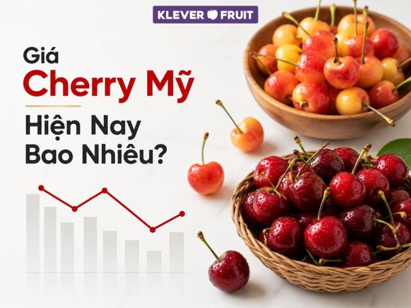 Giá Cherry Mỹ Hiện Nay Bao Nhiêu? Điều Bạn Cần Biết Trước Khi Mua