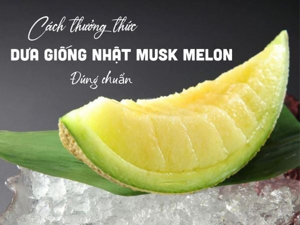 Cách Thưởng Thức Dưa Giống Nhật Musk Melon Đúng Chuẩn