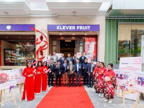 Từ Aomori đến Klever Fruit: Hành trình của niềm tin qua nhiều mùa táo