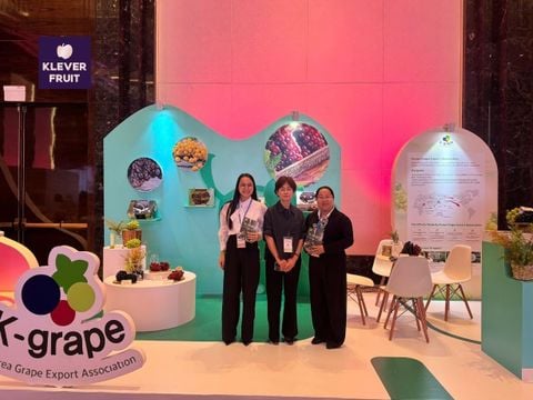 Klever Fruit Tham Gia K-Fresh Showcase & Tasting Event – Hành trình kết nối tinh hoa nông sản Hàn Quốc bằng hương vị và chuyên môn
