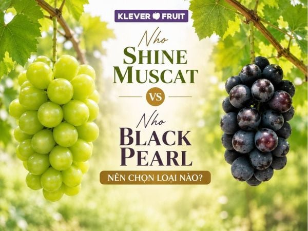 Nho Shine Muscat vs Nho Black Pearl: Nên Chọn Loại Nào?