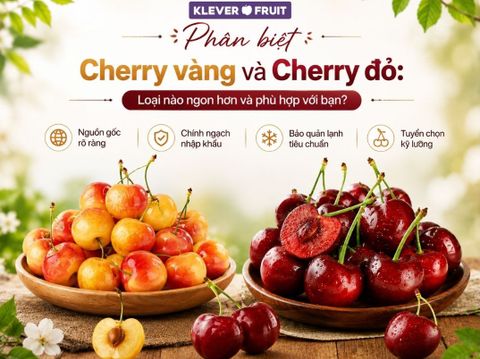 Phân biệt Cherry vàng và Cherry đỏ: Loại nào ngon hơn và phù hợp với bạn?