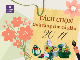 Gợi ý cách chọn quà tặng cô giáo – Nghệ thuật của sự sang trọng thầm lặng