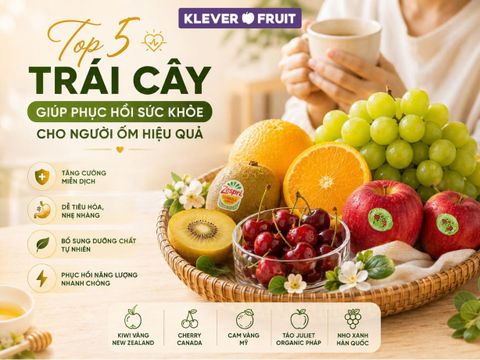 Top 5 Trái Cây Giúp Phục Hồi Sức Khỏe Cho Người Ốm Hiệu Quả
