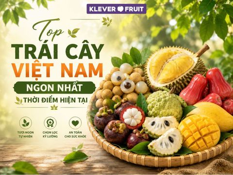 Top Trái Cây Việt Nam Ngon Nhất Thời Điểm Hiện Tại