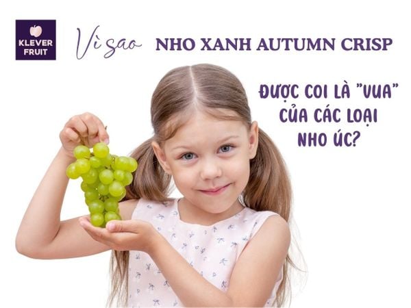 Vì sao Nho Xanh Autumn Crisp được coi là 