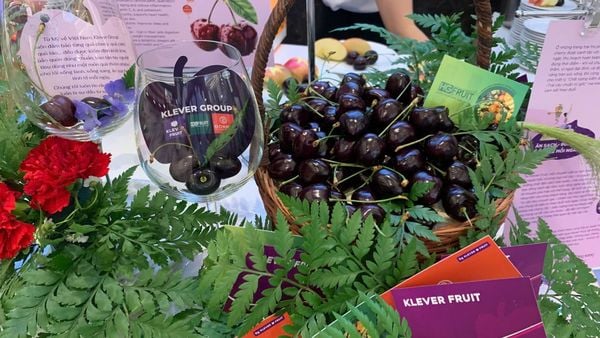 Những trái Cherry được bày trí trong lễ kỷ niệm 249 năm Quốc Khánh Hoa Kỳ