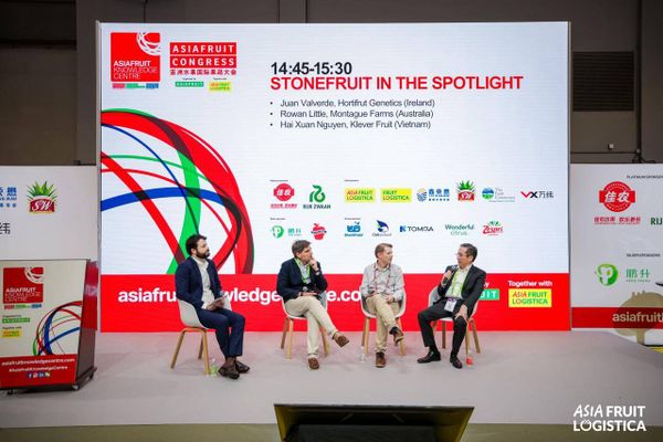 Dấu ấn Klever Fruit tại Asia Fruit Logistica 2026: Stonefruit In The Spotlight