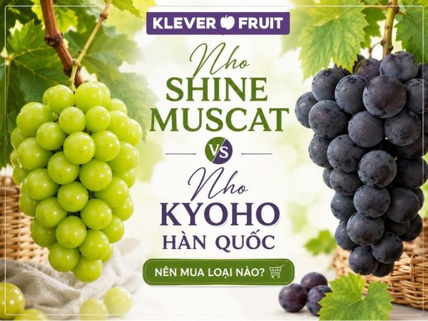 Nho Shine Muscat và Nho Kyoho Hàn Quốc: Nên Mua Loại Nào?