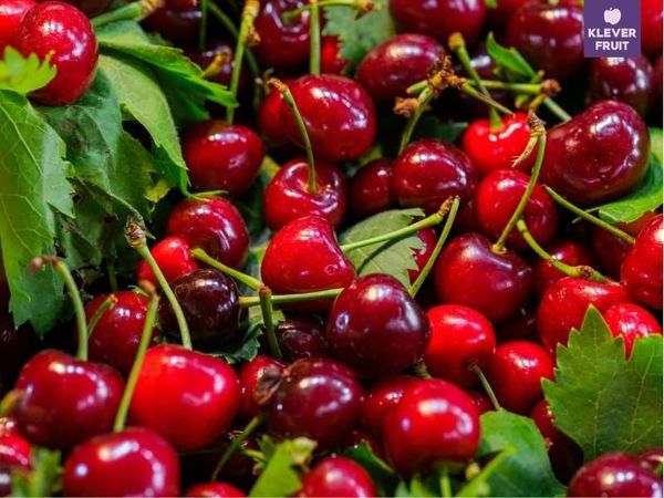 Phân biệt Cherry vàng và Cherry đỏ: Loại nào ngon hơn và phù hợp với bạn?