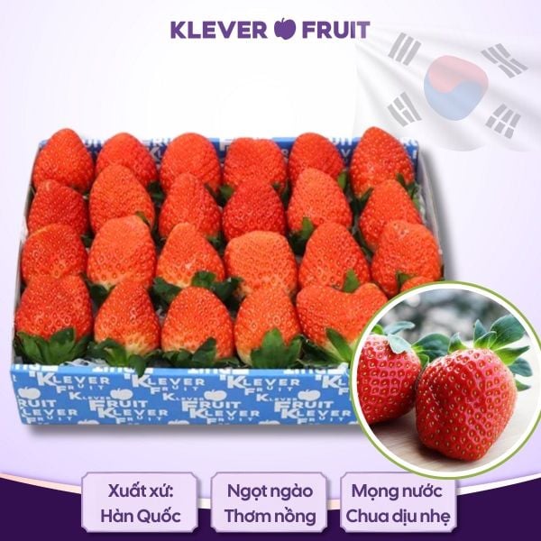Dâu Tây Hàn Quốc – Ngọt Thơm Đặc Trưng, Khác Biệt Hoàn Toàn
