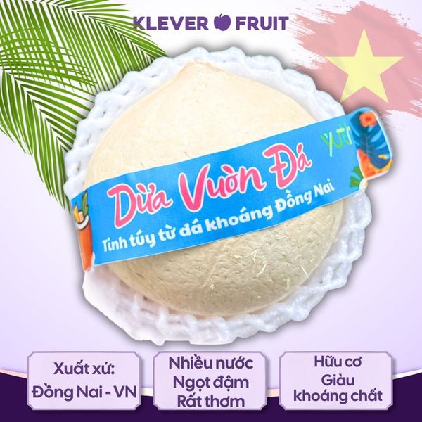 Dừa Đá Khoáng - Khi Đá Đỏ Hóa Ngọt Ngào