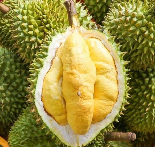 Top Trái Cây Việt Nam Ngon Nhất Thời Điểm Hiện Tại