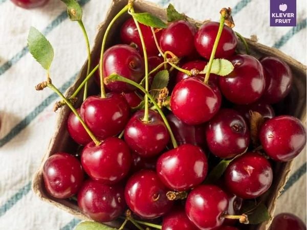 Nên ăn bao nhiêu quả cherry mỗi ngày? Lượng ăn chuẩn tốt cho sức khỏe