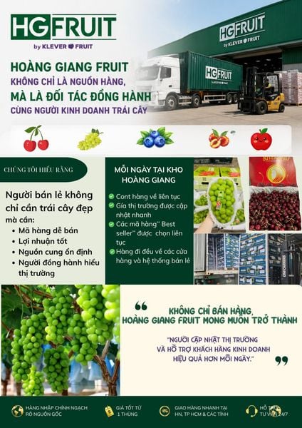 Hoàng Giang Fruit - Đơn Vị cung cấp trái cây nhập khẩu cao cấp hàng đầu thị trường Việt Nam
