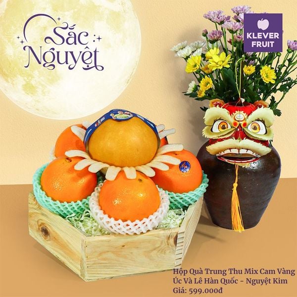 Hộp Quà Trung Thu Cam Vàng Úc Mix Lê Hàn Quốc - Nguyệt Kim tại Klever Fruit
